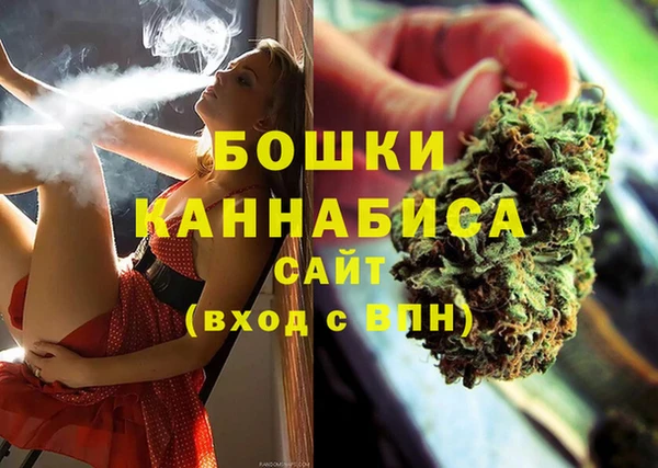 тгк Касимов