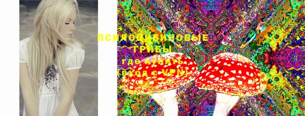 тгк Касимов
